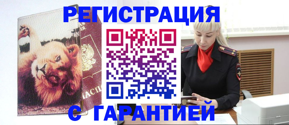 прописка от собственника в Петропавловске-Камчатском